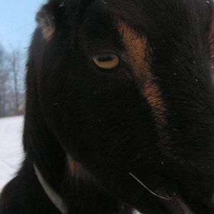 Meet your Posher, Vickie